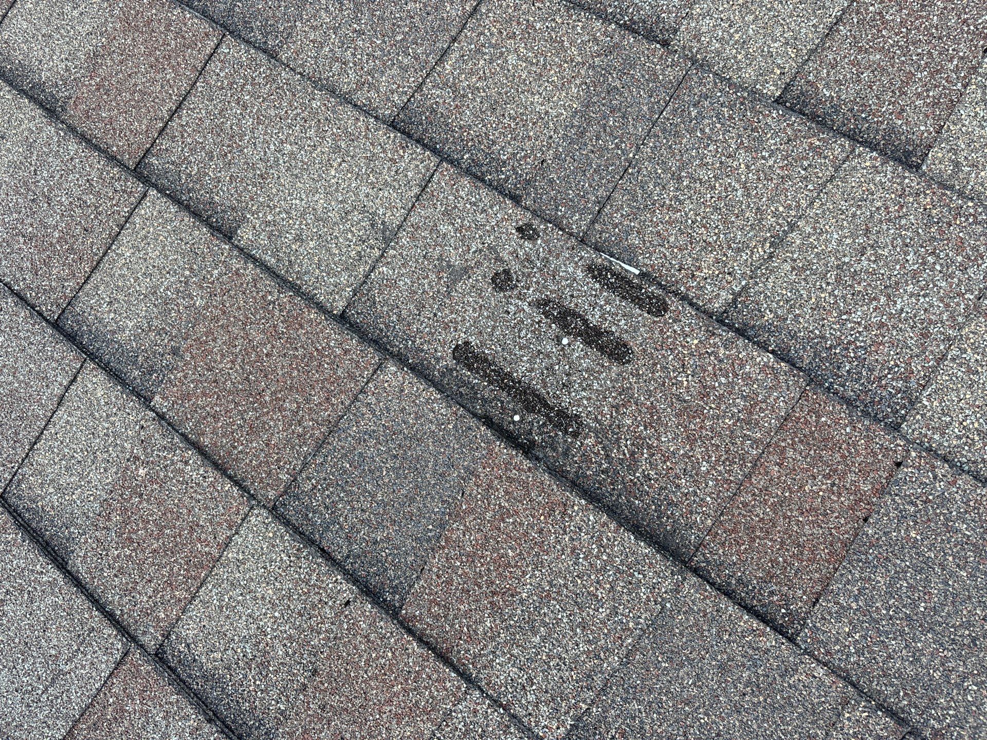 Hail Damage using Owen's Corning Duration (Lifetime) Shingles by Roof Repair Company