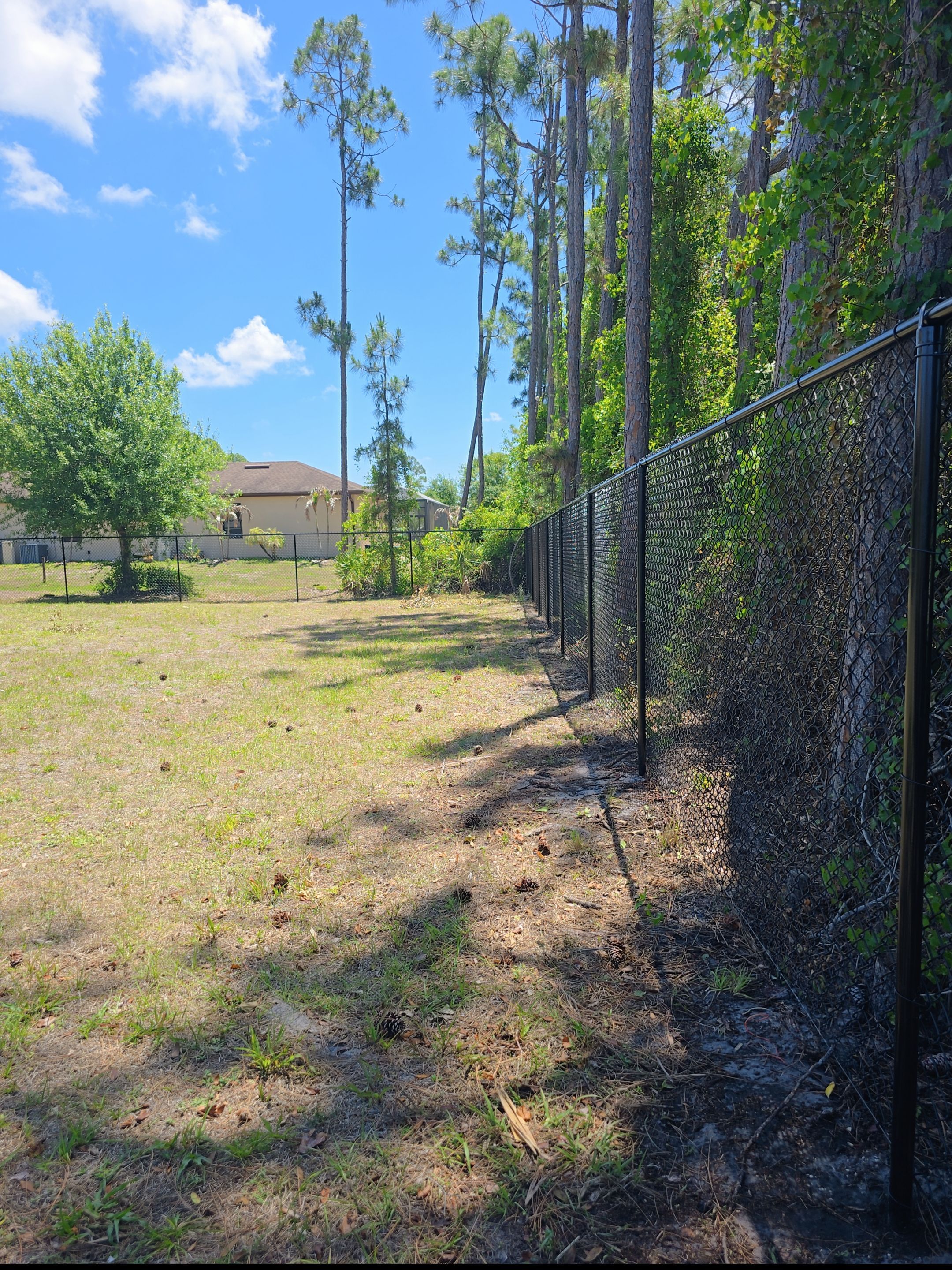 Black Chain Link Fence in North Port by True Fence LLC