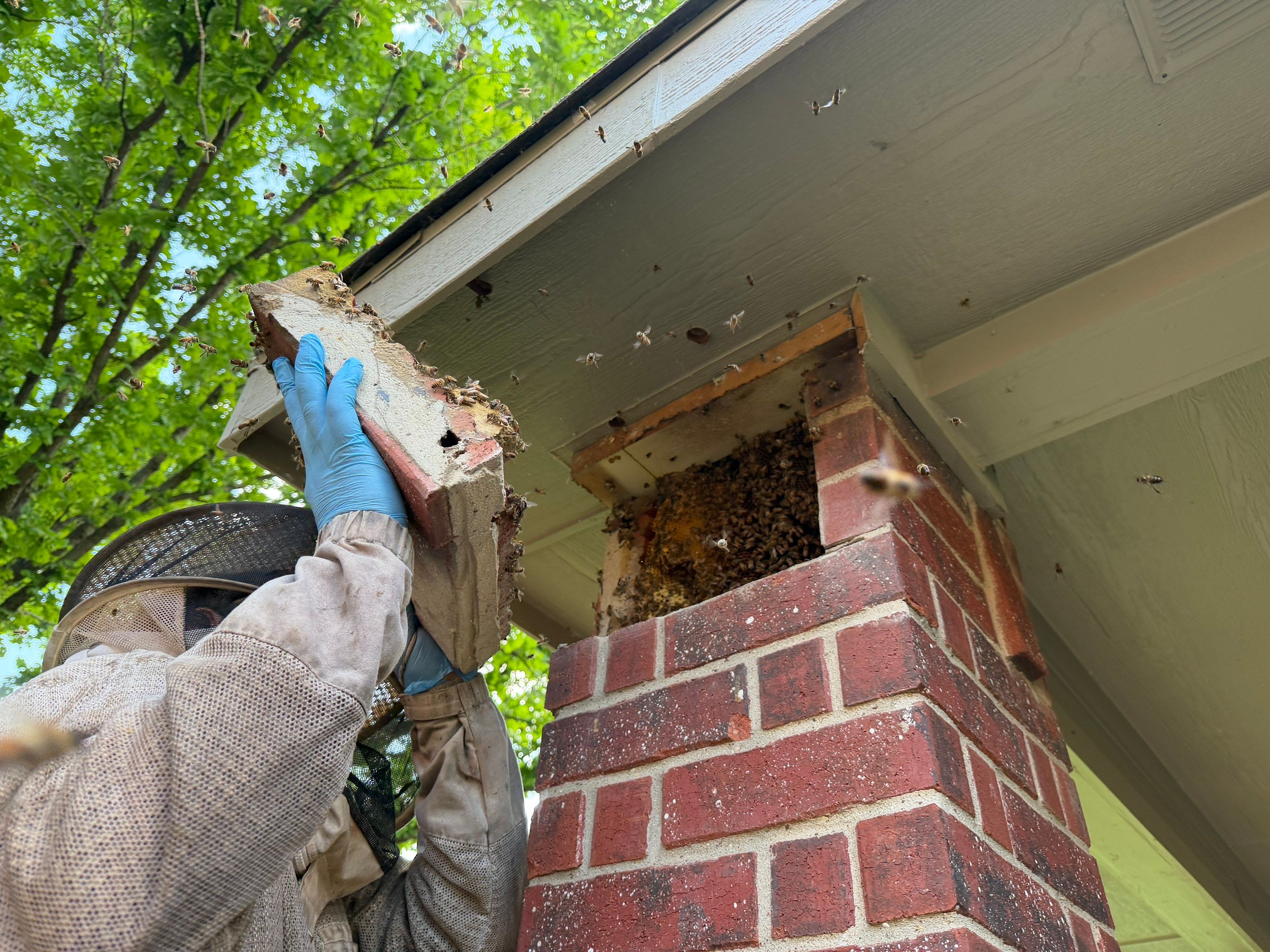 Brick Column by Rockwall Honey Bee Company