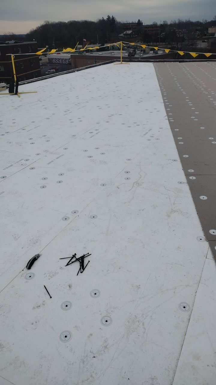 Commercial flat roof parma by Absolute Roofing and Construction