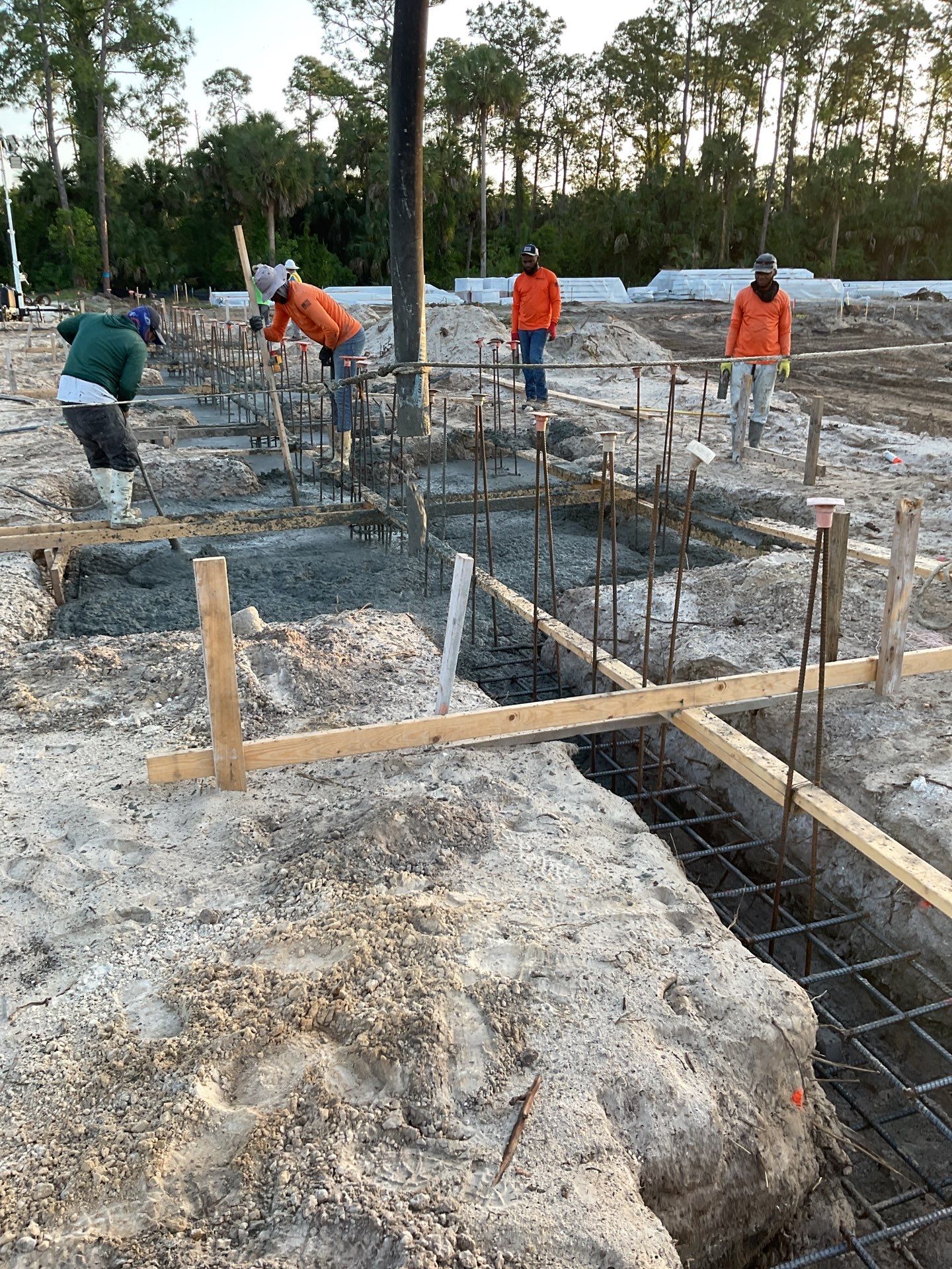 TRACTOR SUPPLY NAPLES by Southern Gulf Construction