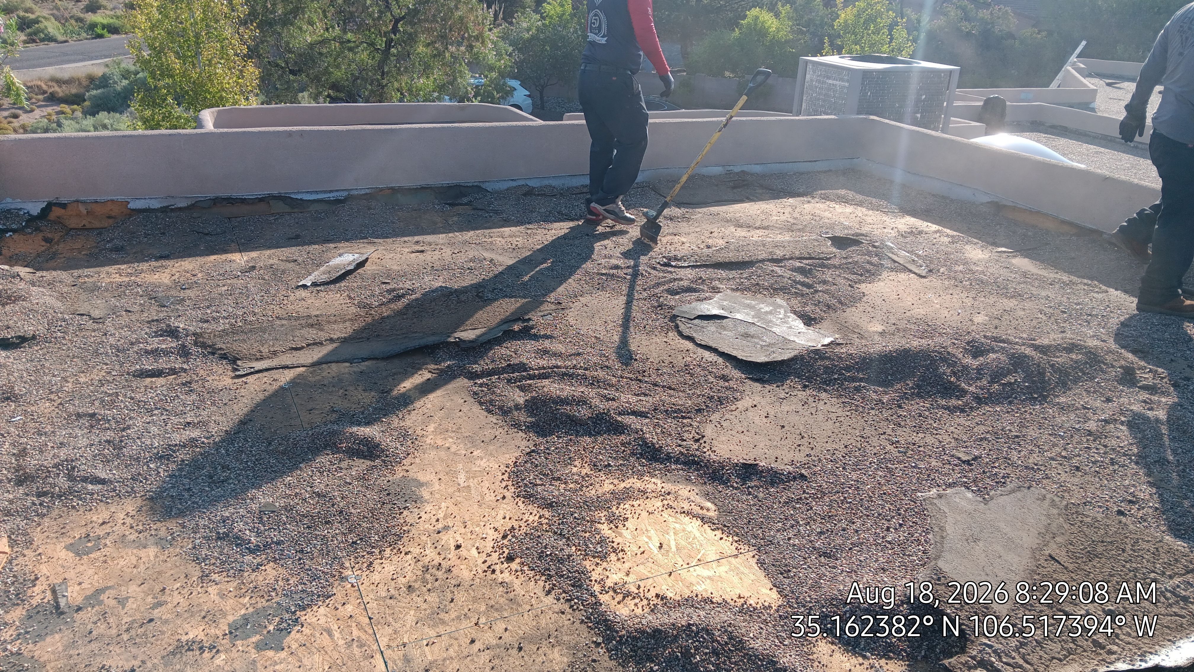 TPO Roof Replacement and Wood Repair in Albuquerque by Doyle Roof Masters Inc