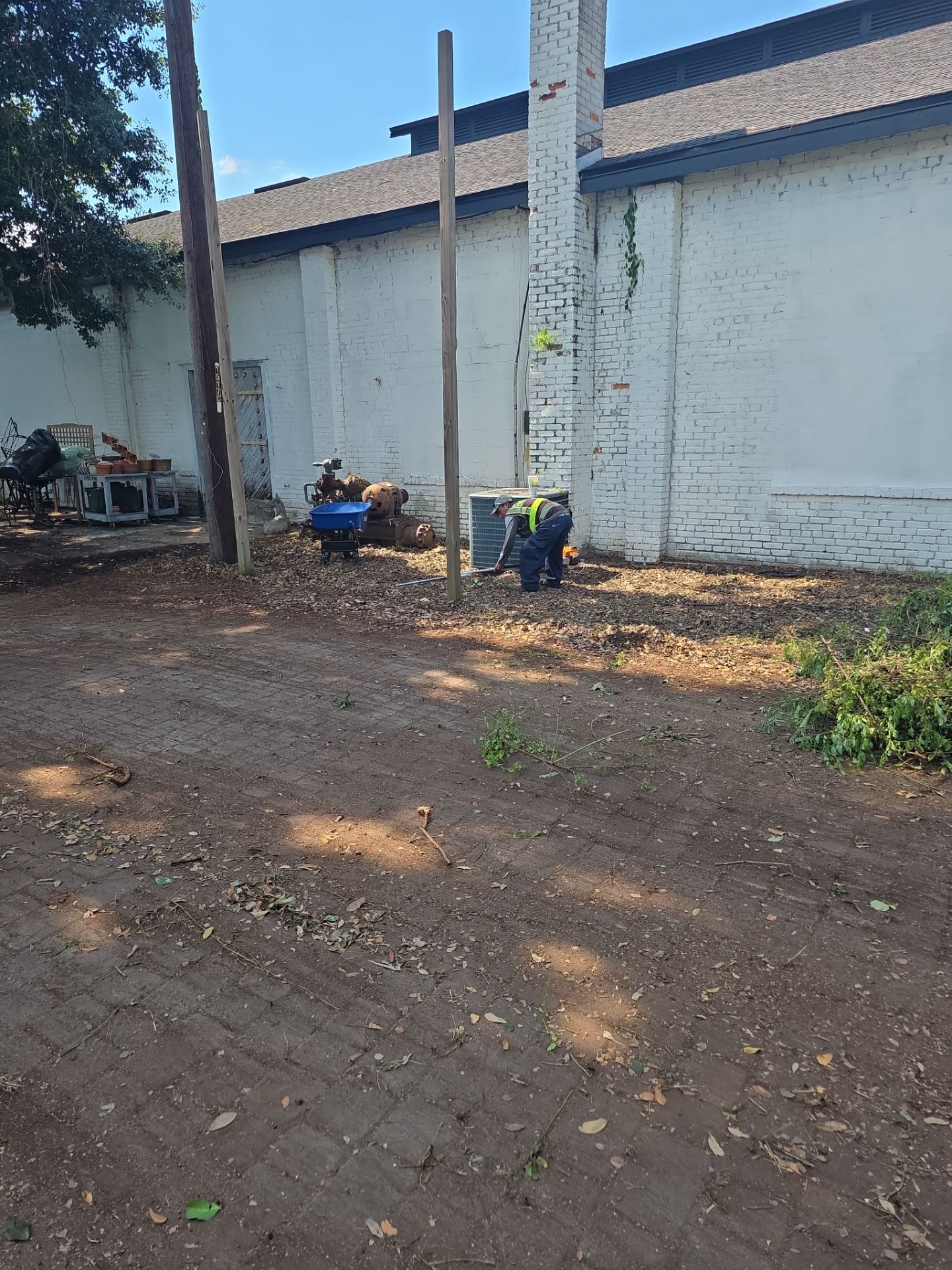 Commercial Property | Clean Up & Tree Removal by ProGreen Services