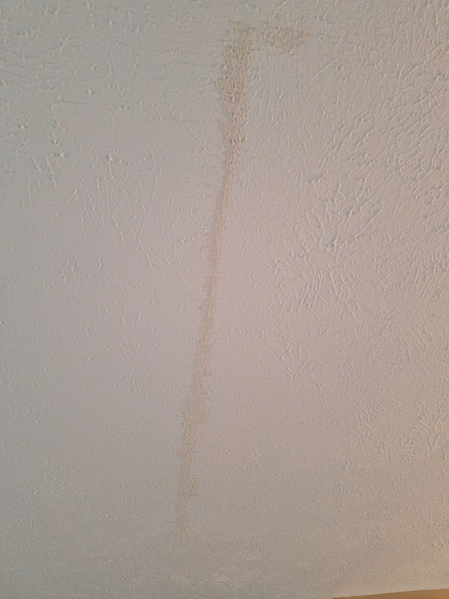 Ceiling repair and repaint by Gordon Painting