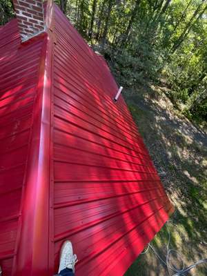 Cabin In the Woods