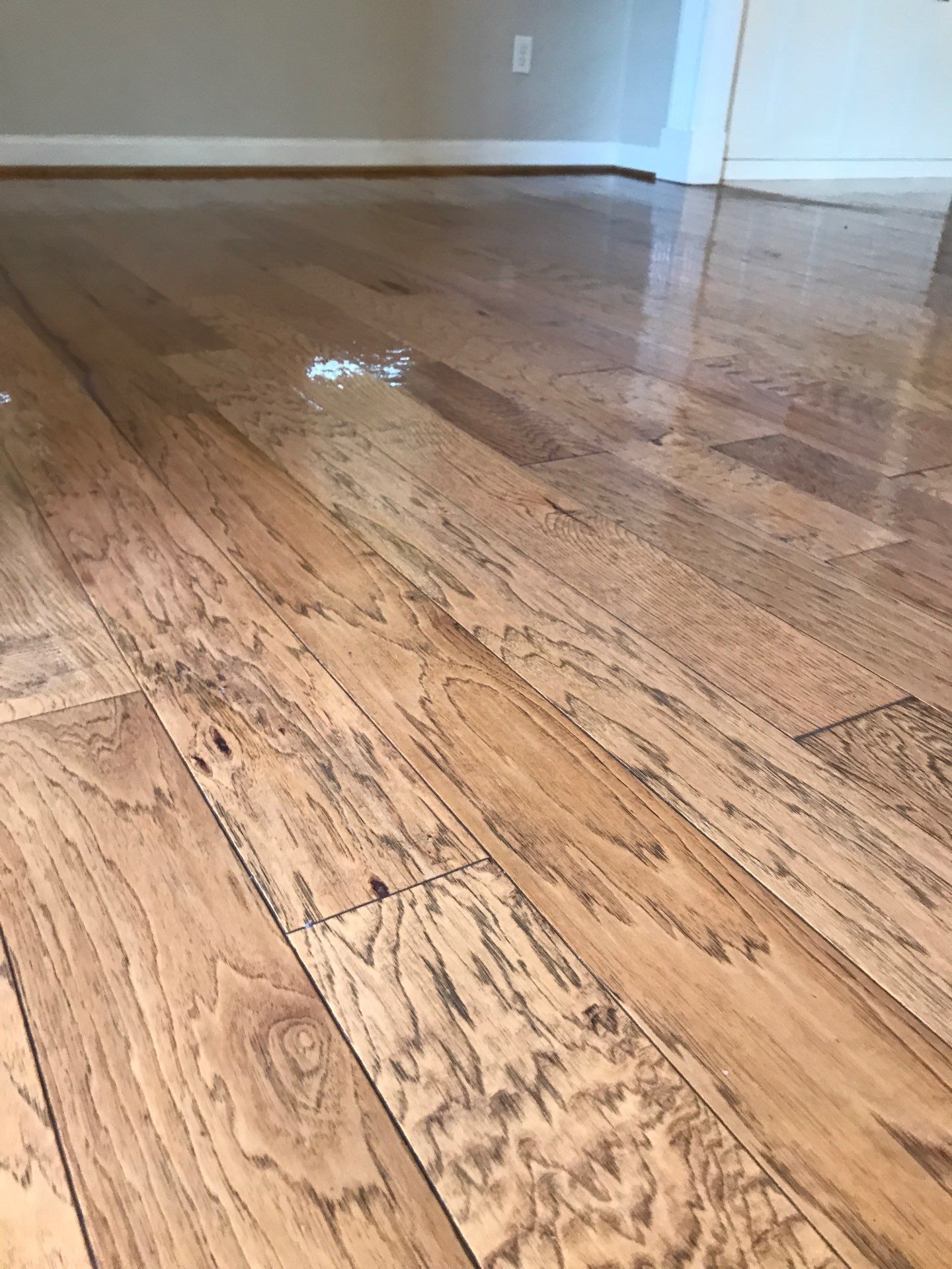 Hardwood Renewal by Monster Clean
