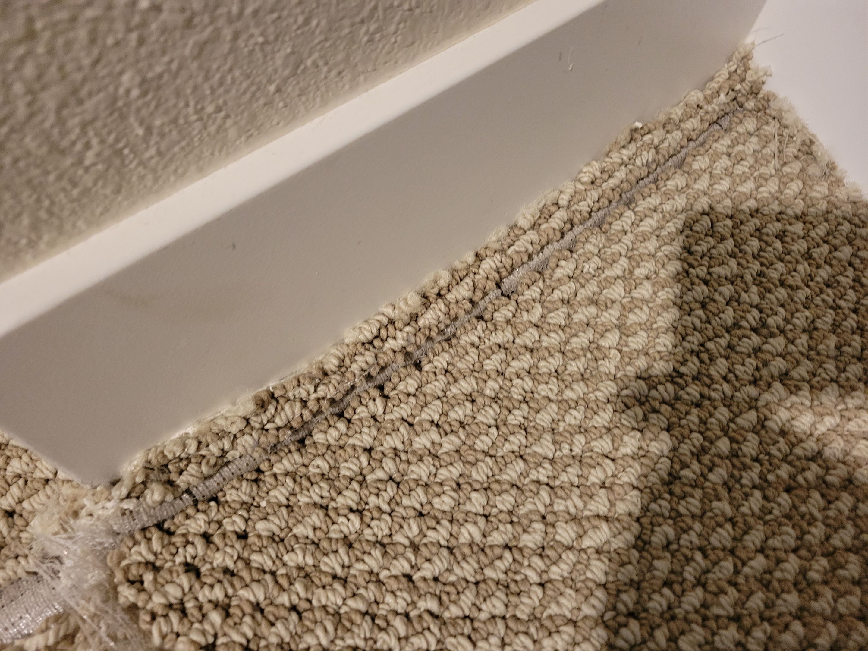 Bonded Insert Repair, Dog Damaged Carpet by Ardent Carpet Restore LLC