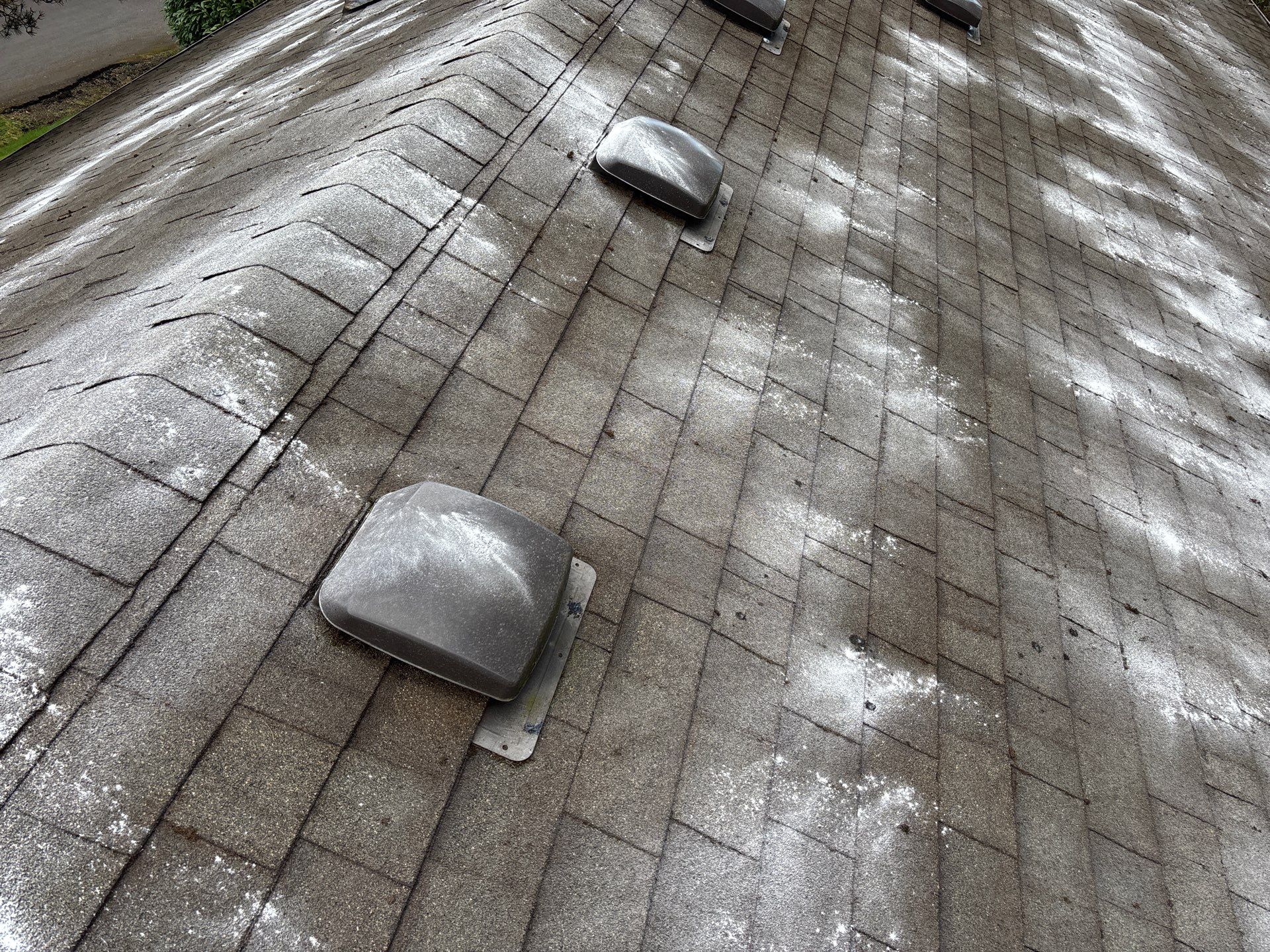 Roof Maintenance in West Linn by Prodigy Roof Solutions