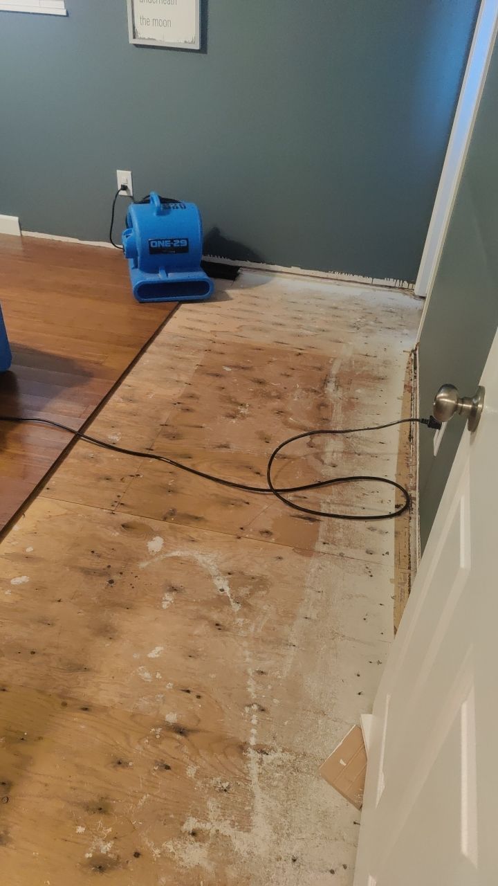 Water Damage  by Accountable Home Services