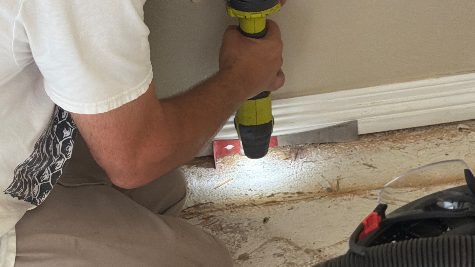 Same Room, Different Cavity, New Colony by Rockwall Honey Bee Company