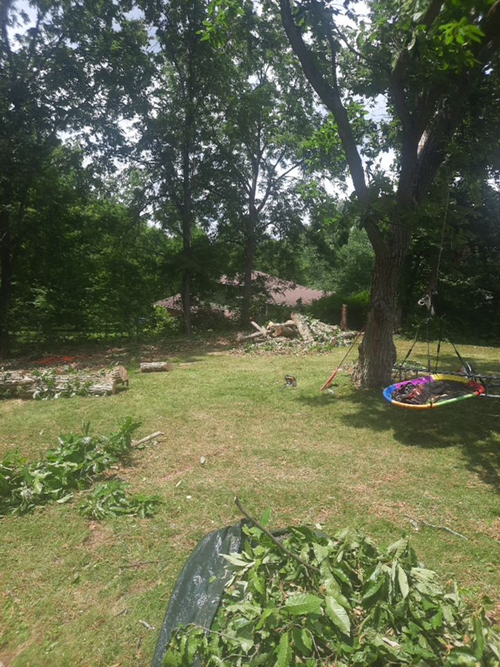 Tree Removal using Tree Removal by Mike Jones & Sons Tree Service LLC 