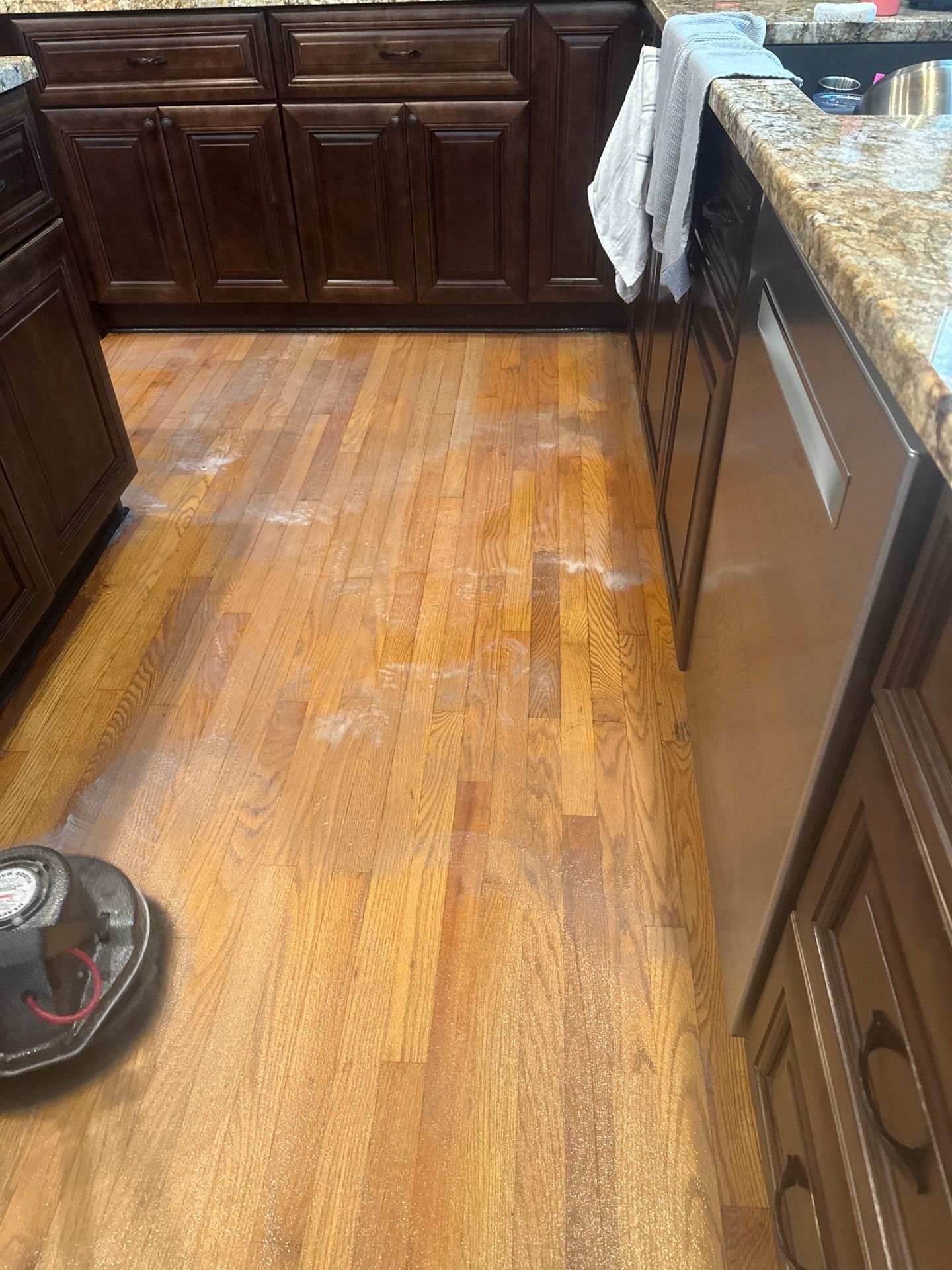 Hardwood Renewal  using Finish Em by Monster Clean