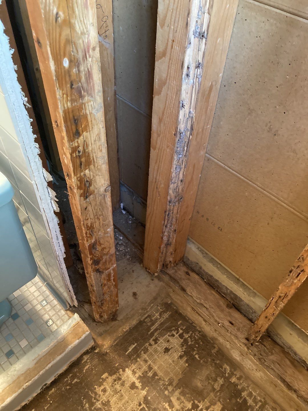 Water Damage Repair by Accountable Home Services