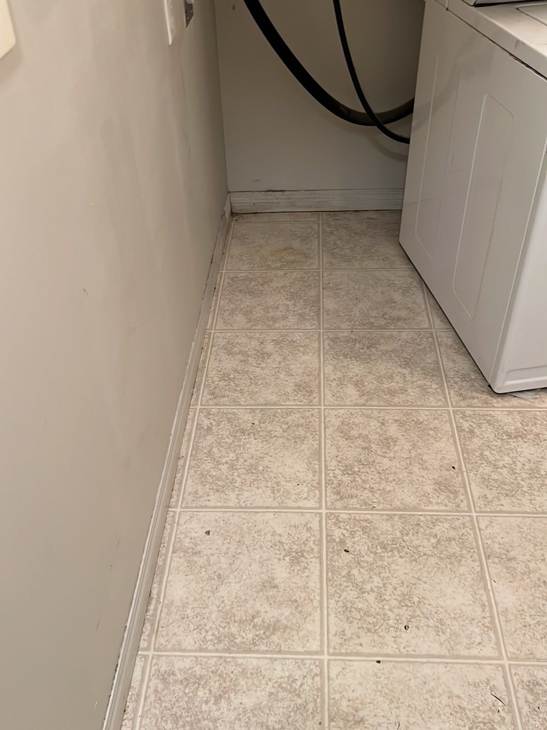 Moveout Clean - Very dirty by Tidyups Cleaning Service Inc
