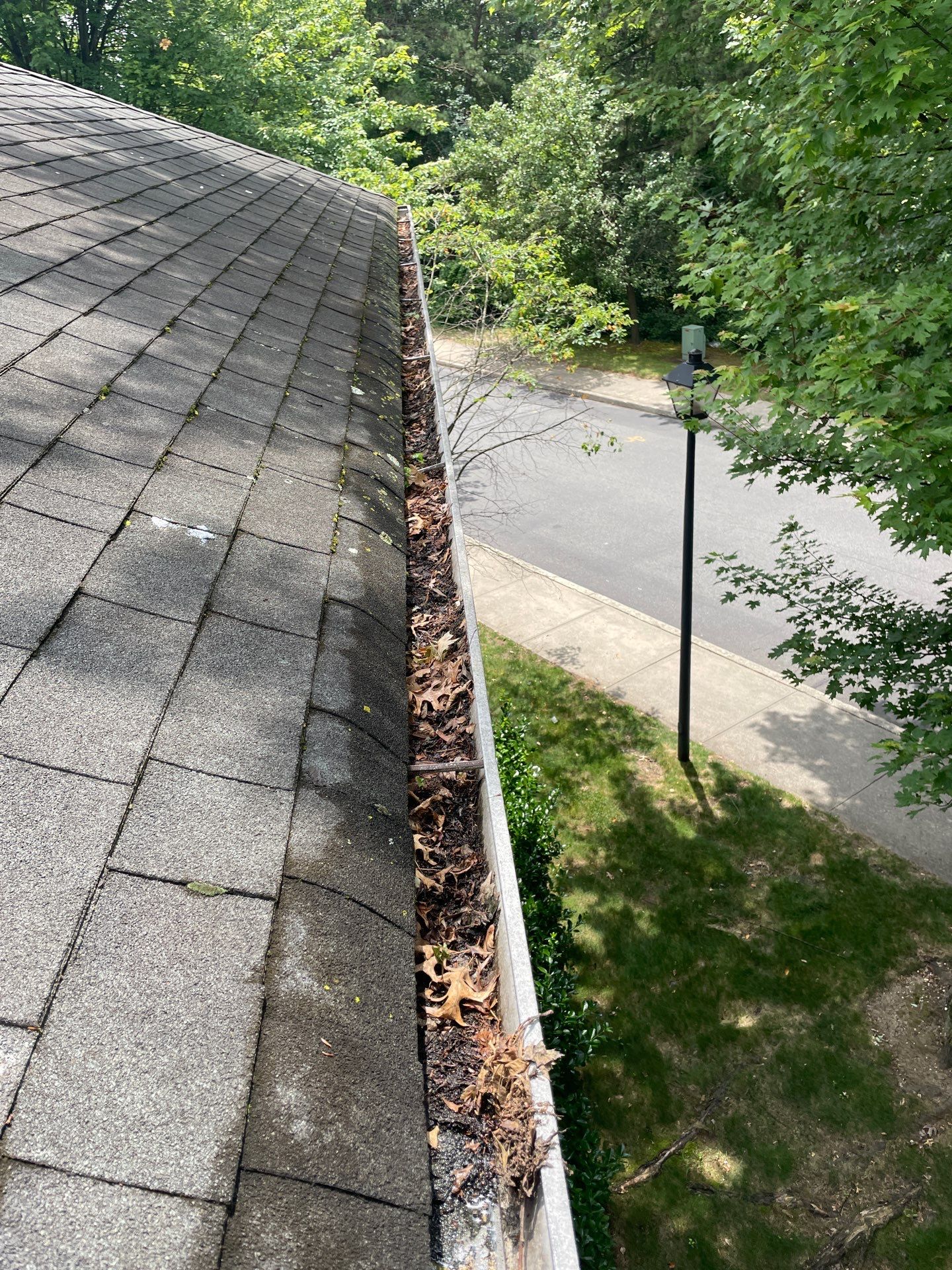 Commercial gutter cleaning New York before photo with filled gutters