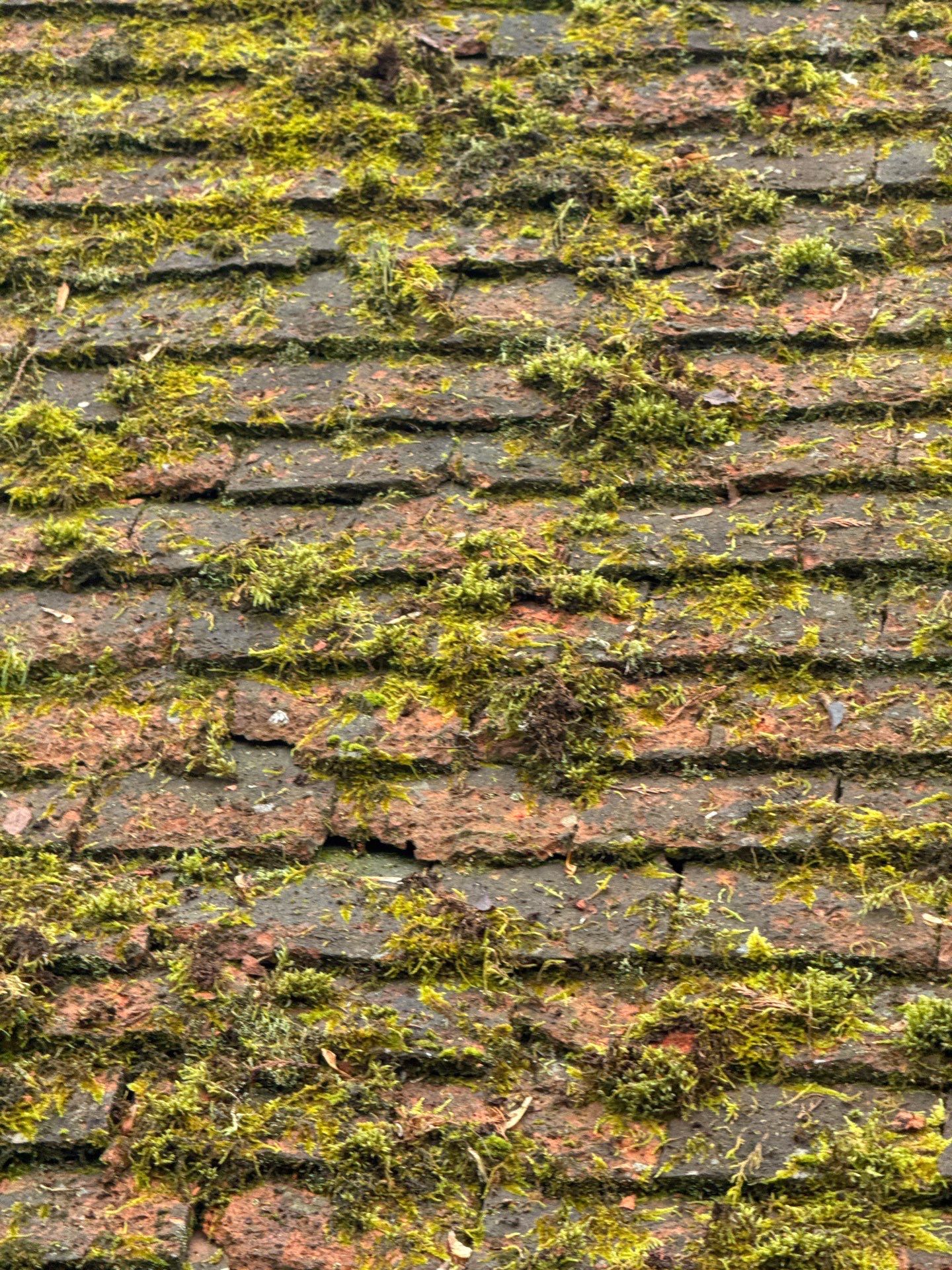 Roof Clean  - Moss Removal - Gutter Clean using Honda 15lpm Low Pressure Washing Machine by Ges Exterior Cleaning ltd