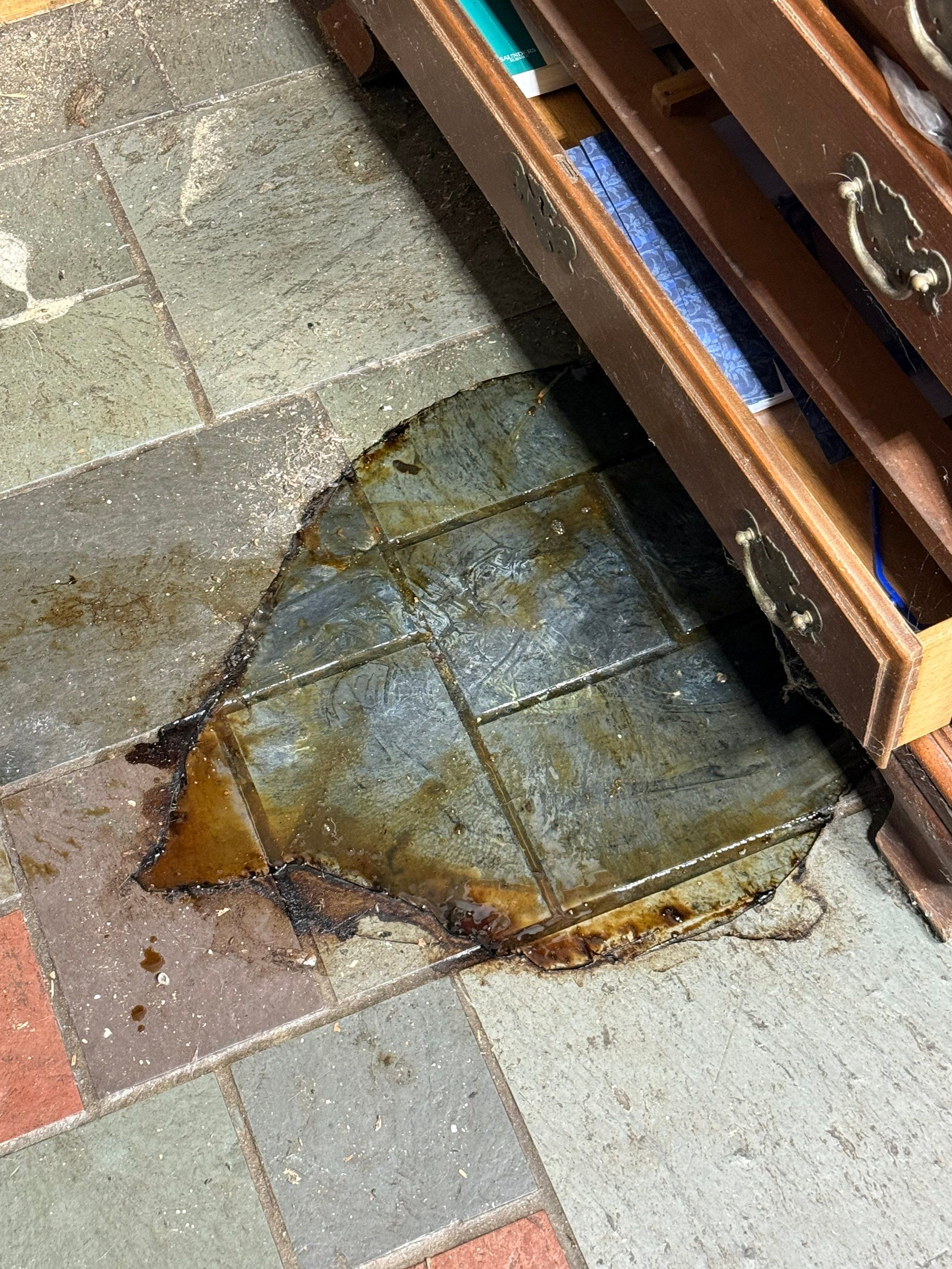 Biohazard, Unattended Death in Madison by Sadie’s Pro Cleaning