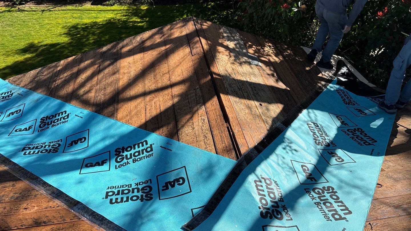 Willa Holmstock by NuLead Construction Inc