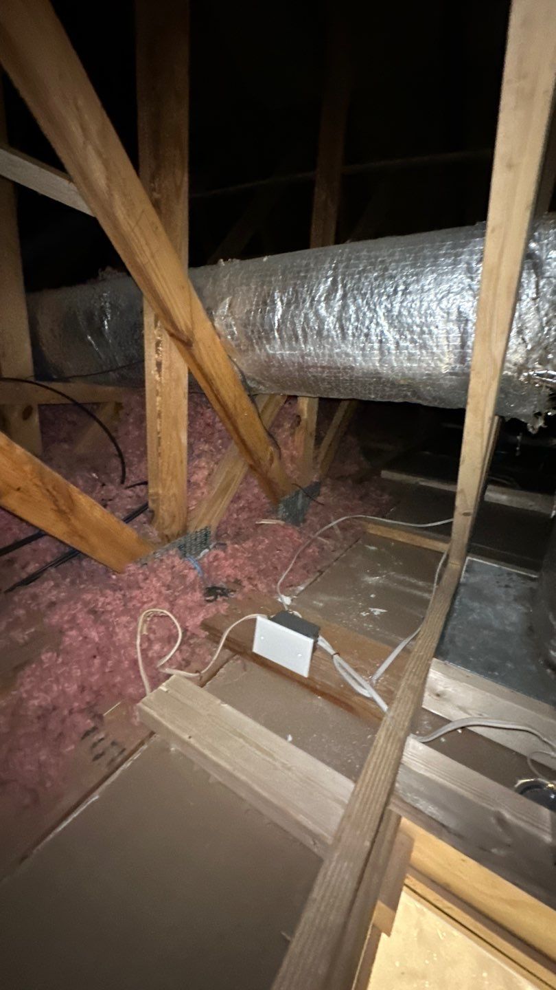 West Springfield: Major Tree Damage Restoration by RM Banning, Inc.