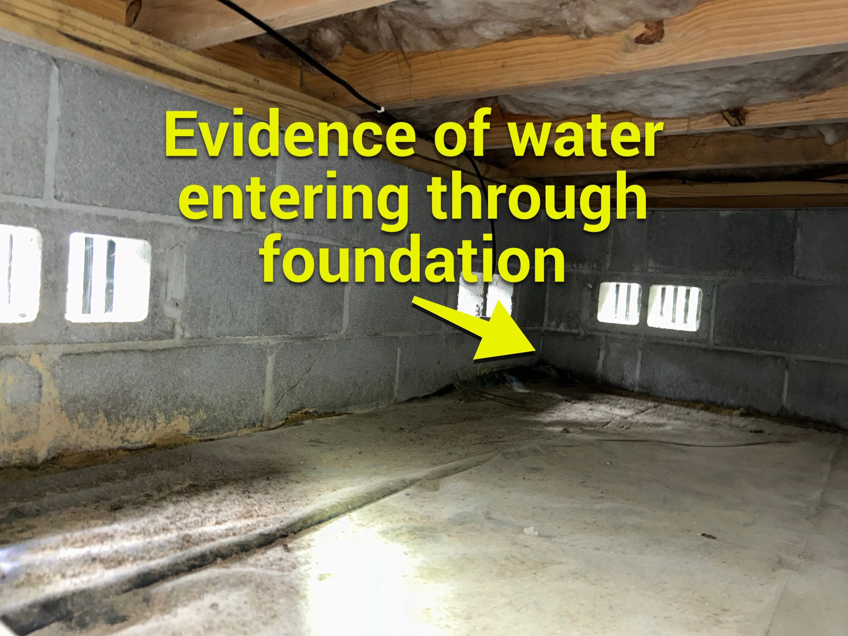 Premium Encapsulation with 20Mil, Borafoam insulation and Light System. by Impact Crawlspace