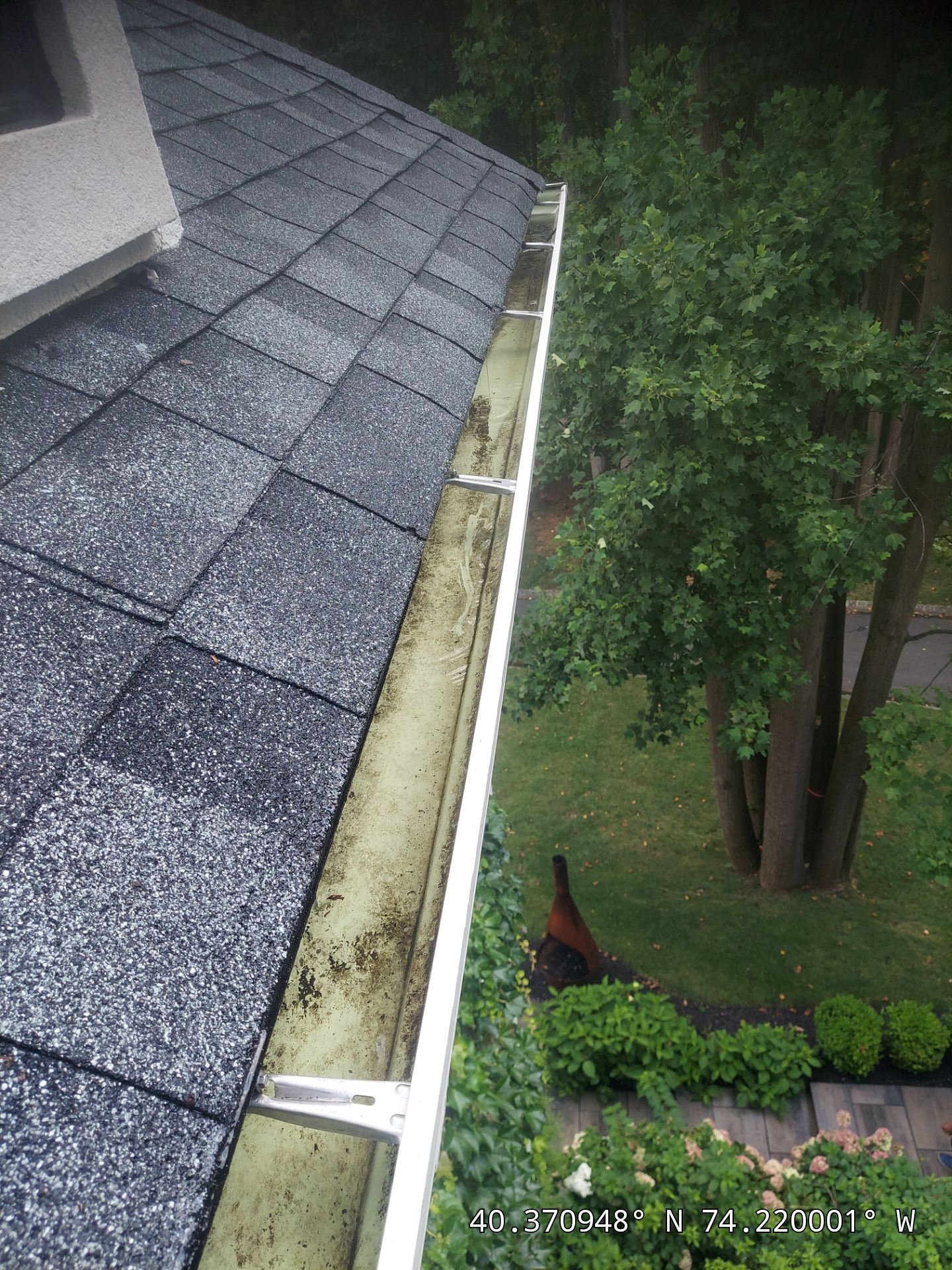Gutter Cleaning ASAP! by Clearview Washing