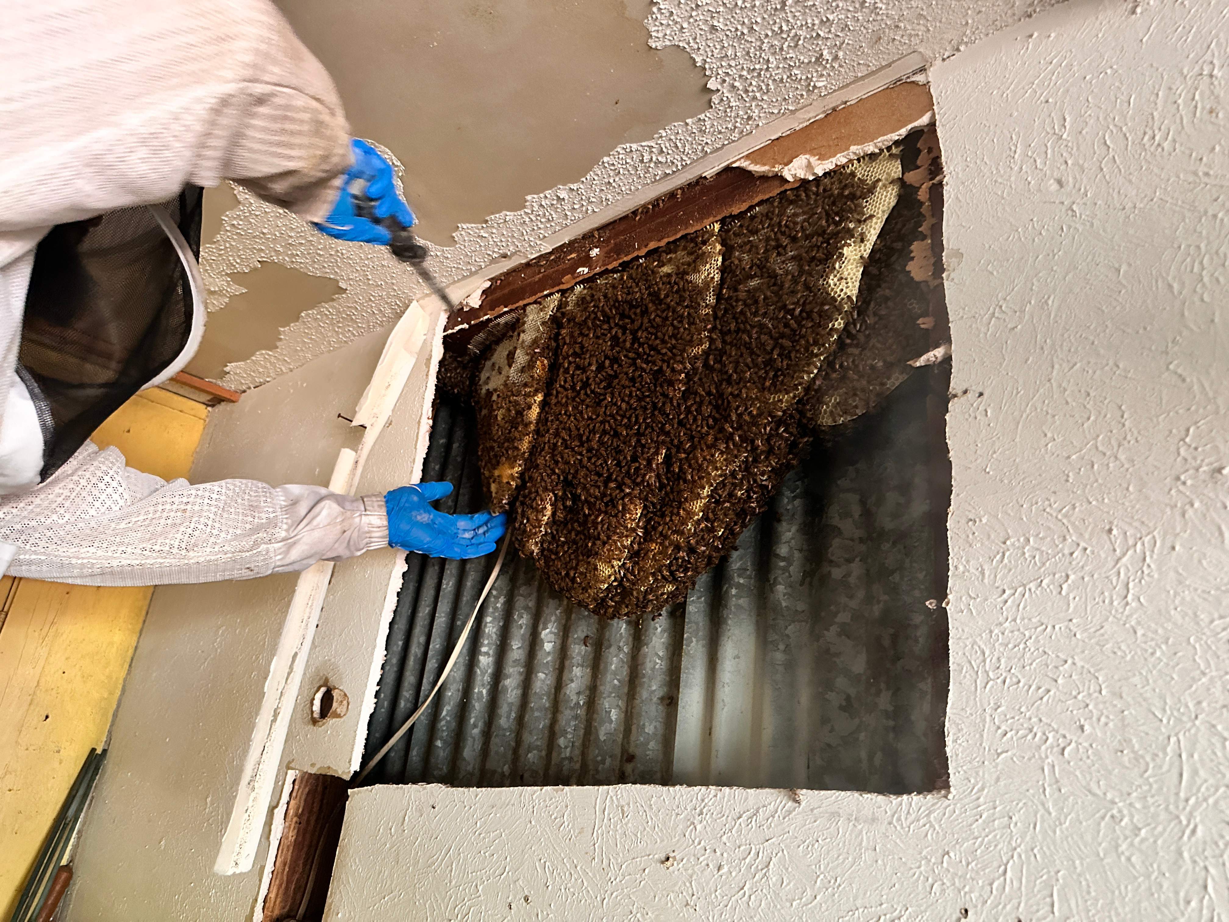 Motorcycle Garage by Rockwall Honey Bee Company