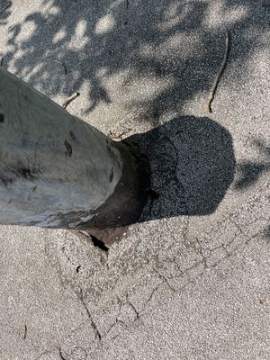 Project in Austin