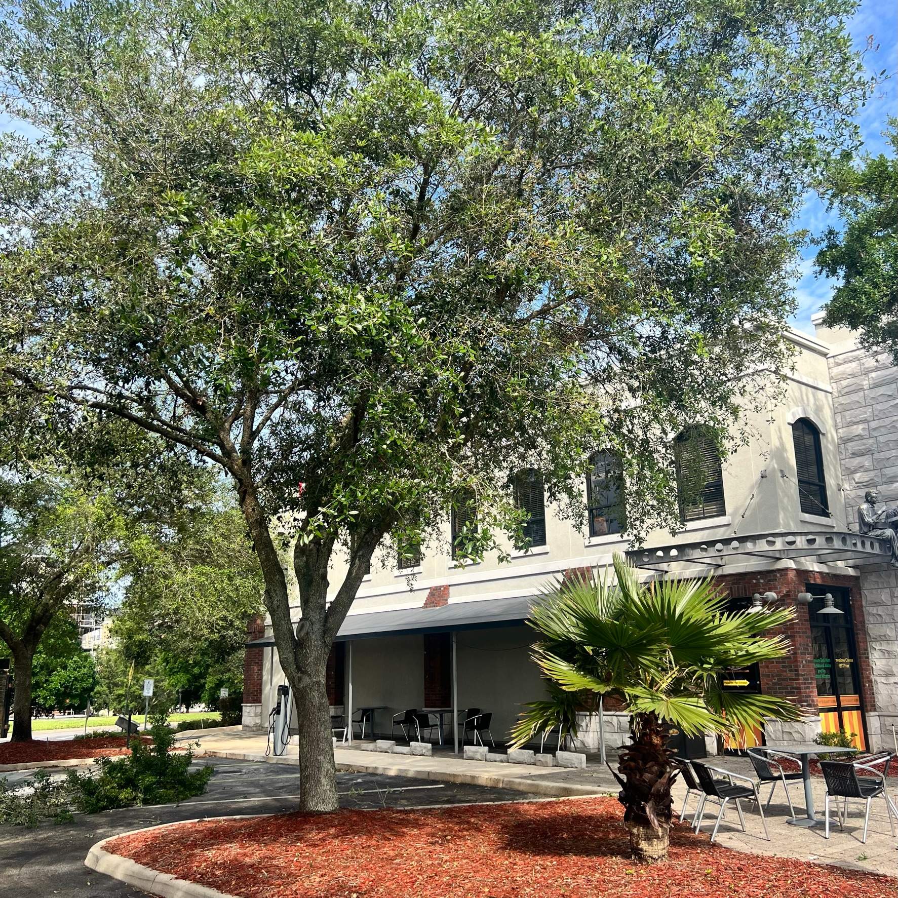 Tree Trimming | Larry's Giant Subs by ProGreen Services