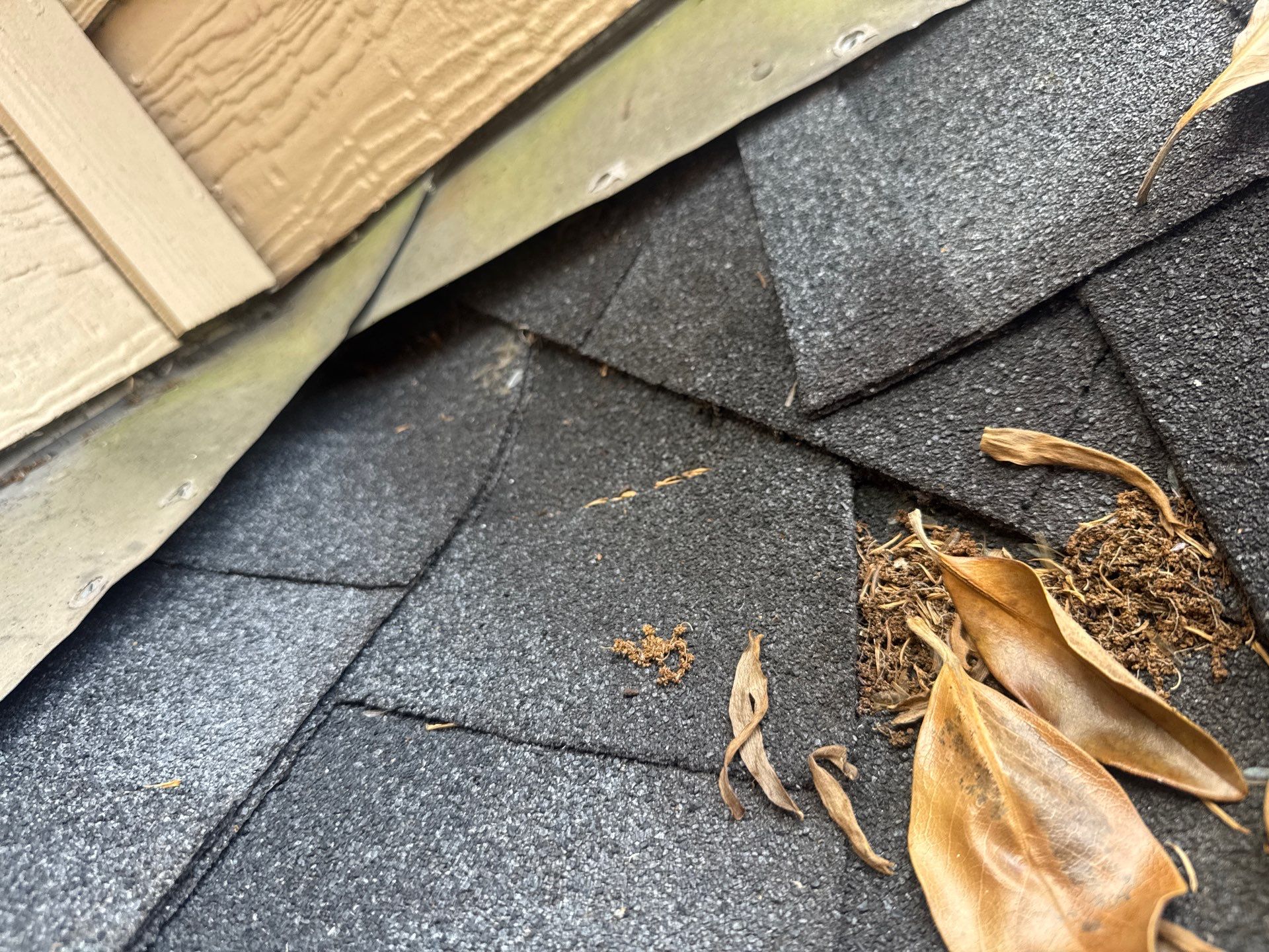 Roof Repair Missouri City by Roof Repair Services LLC