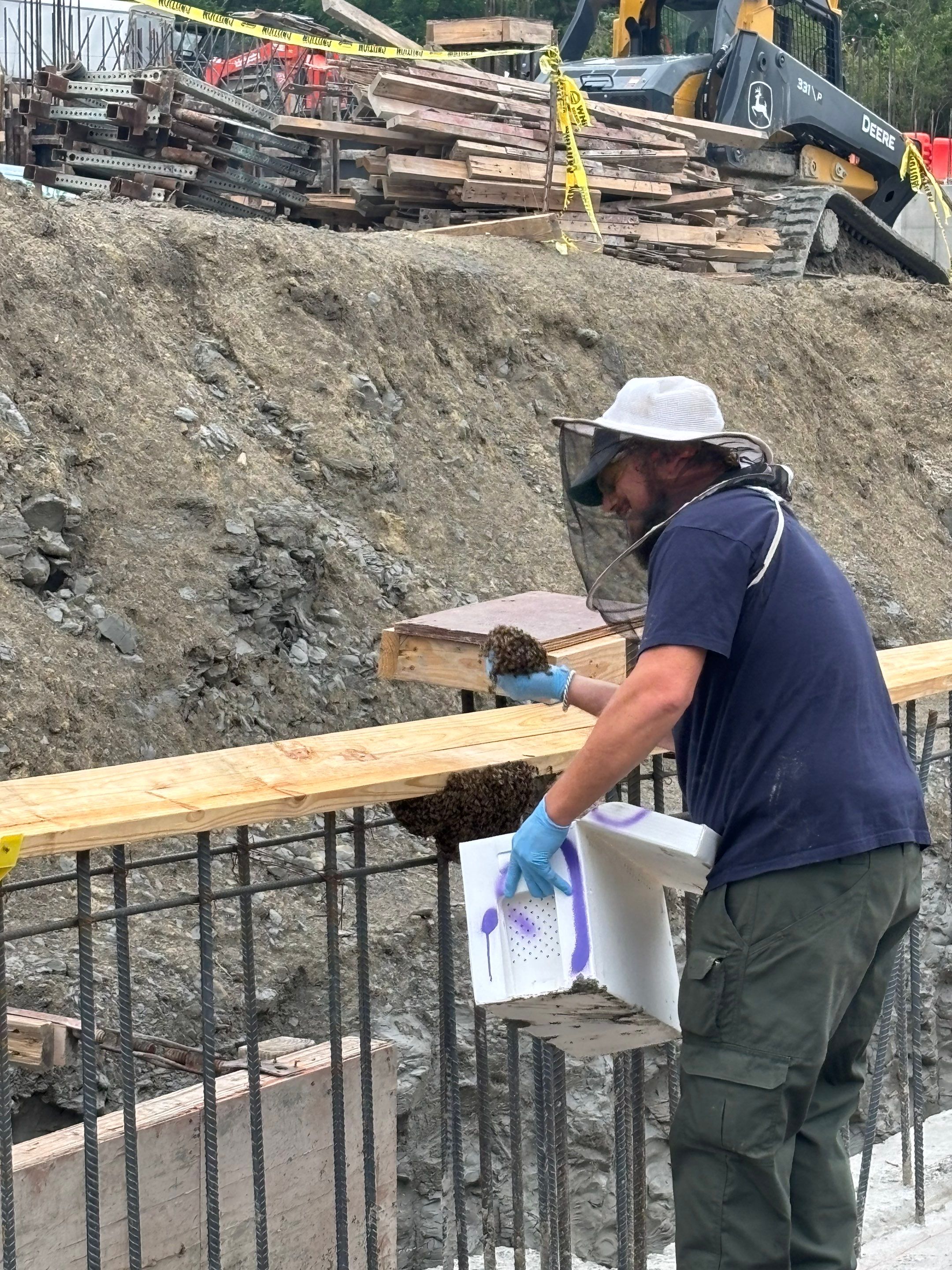 Rockwall Swarm: Downtown Construction Site by Rockwall Honey Bee Company