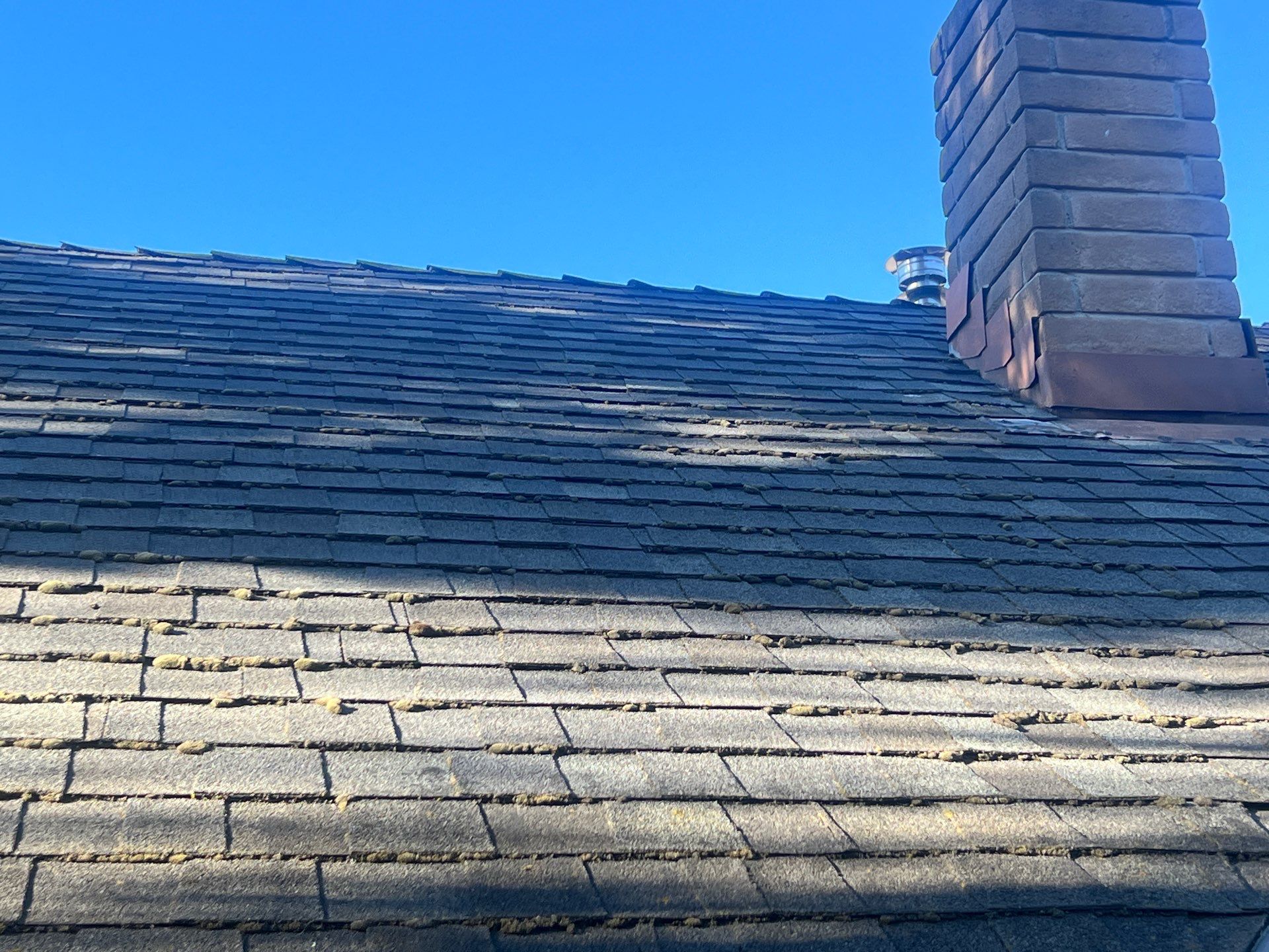 Roof Rejuvenation using Roof Maxx Treatment by Roof Maxx of Folsom