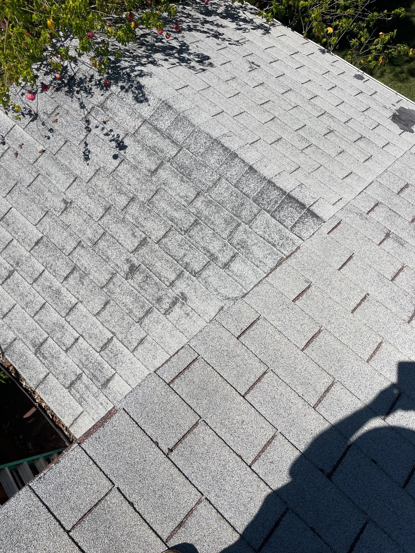 Roof Rejuvenation using Roof Maxx Treatment by Roof Maxx of Folsom