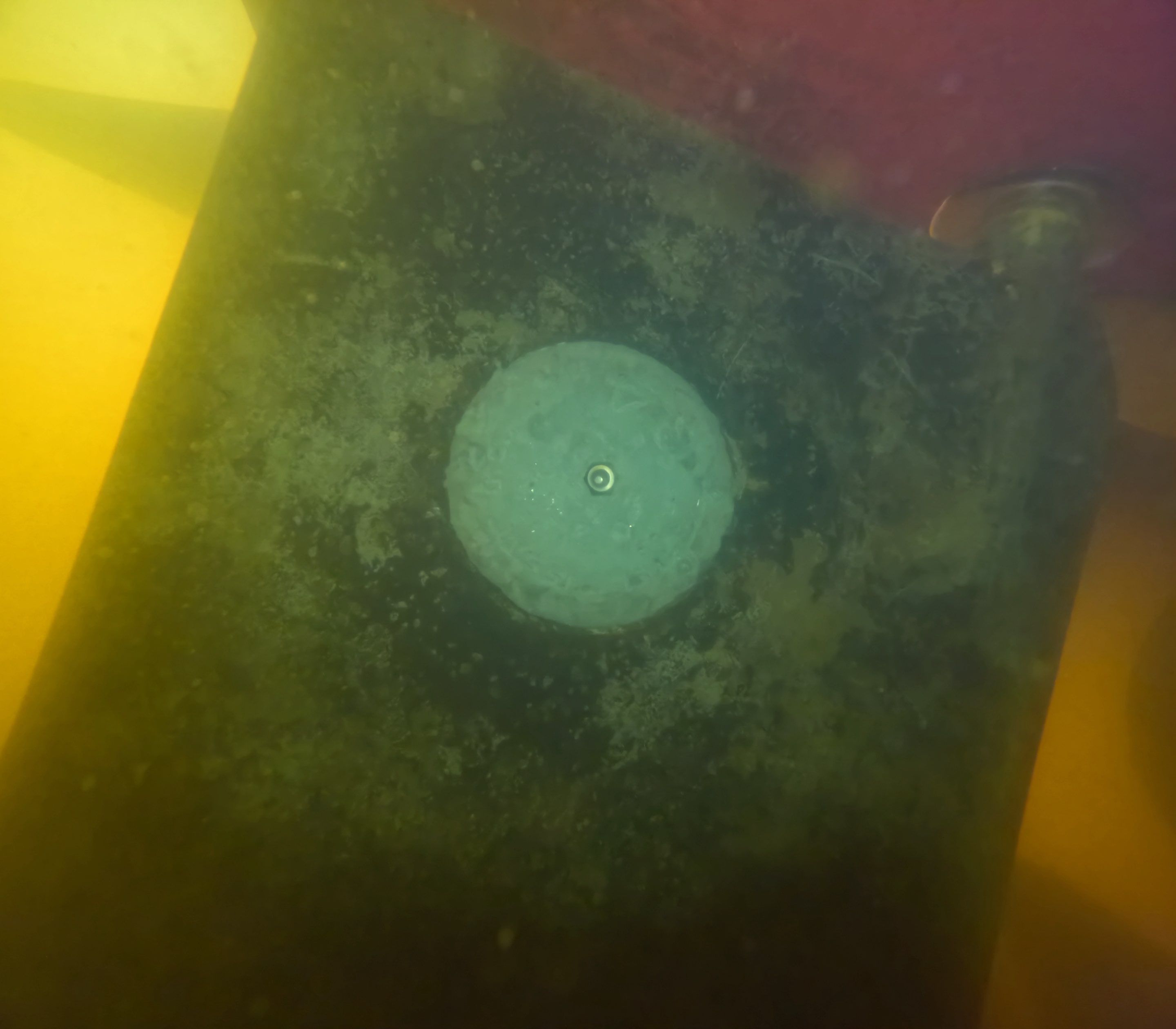 Project in North Fort Myers, FL by Florida Hull Cleaning 