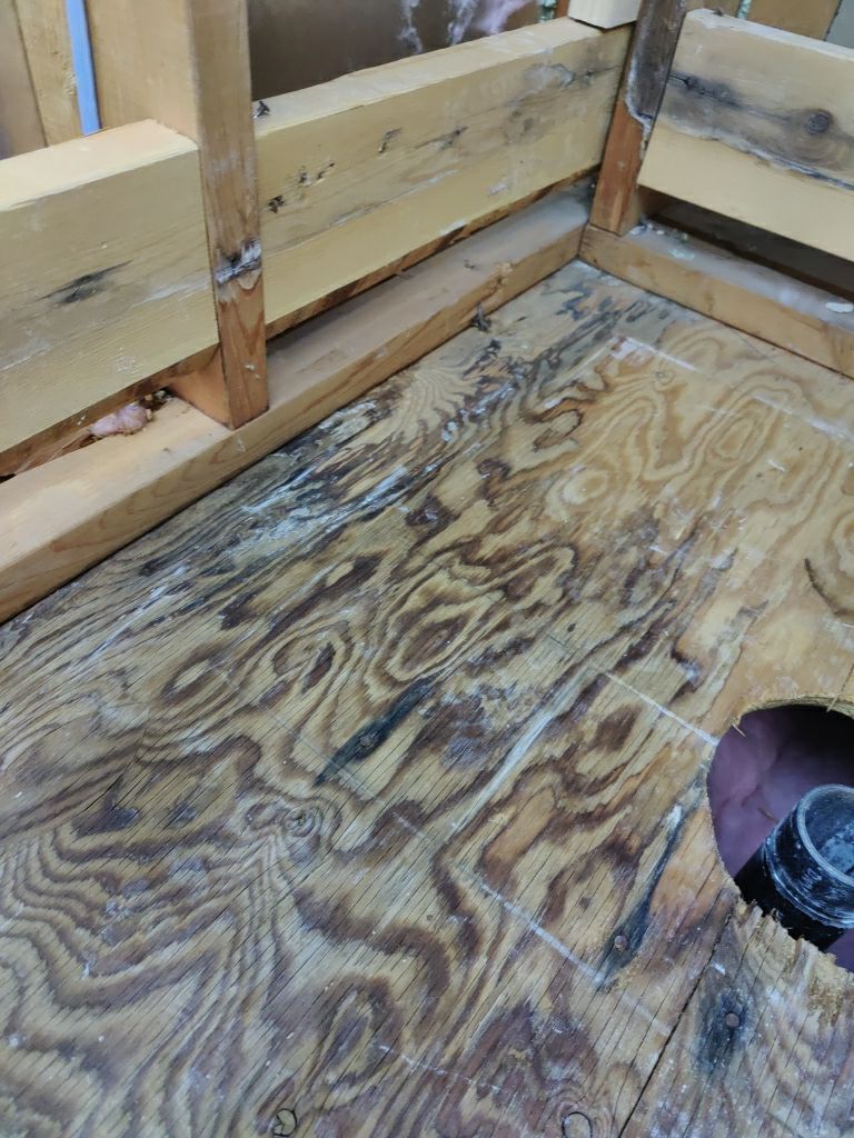 Mold Remediation  by Accountable Home Services