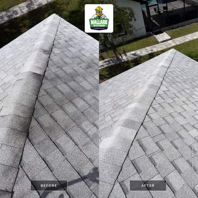 Shingle Roof Cleaning