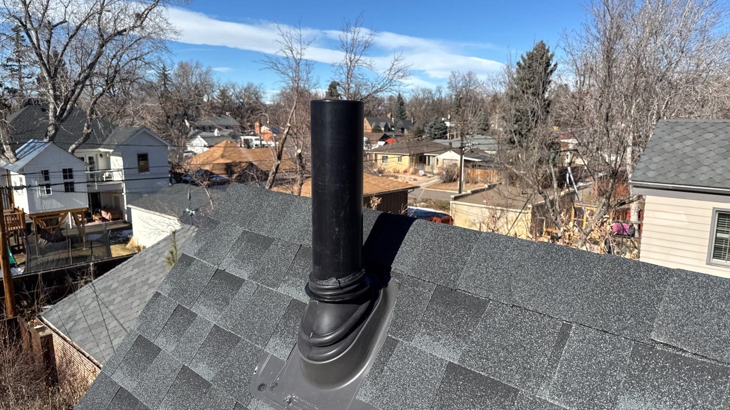 Old dog learns new tricks! by Modern Roofing Group
