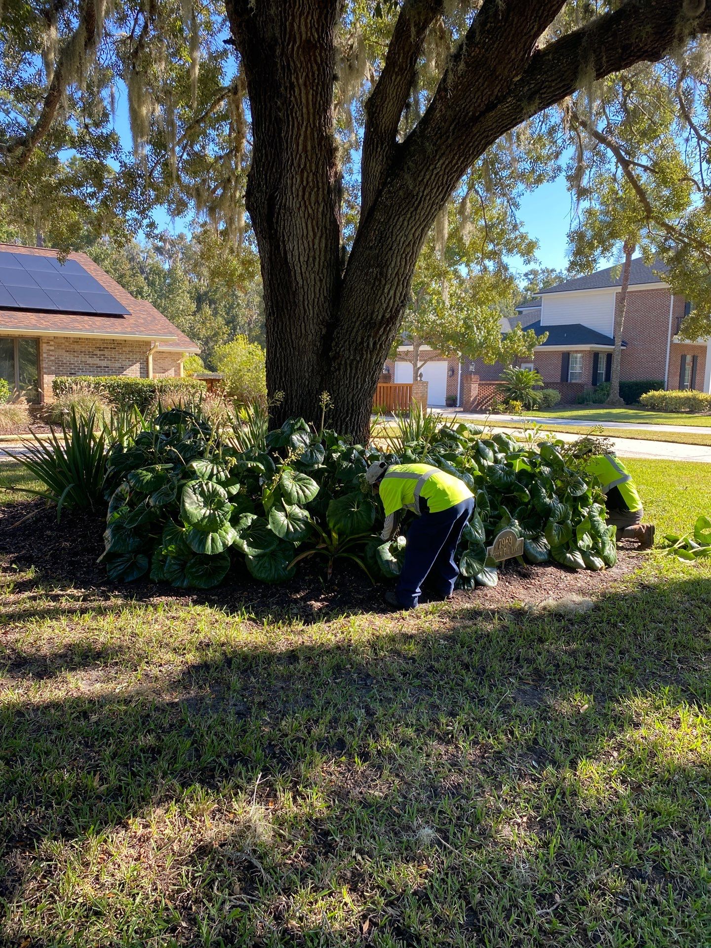 Deerwood Resident | Extreme Clean Up by ProGreen Services