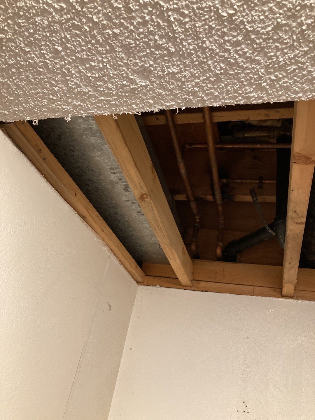 Mold Remediation using Containment by Accountable Home Services