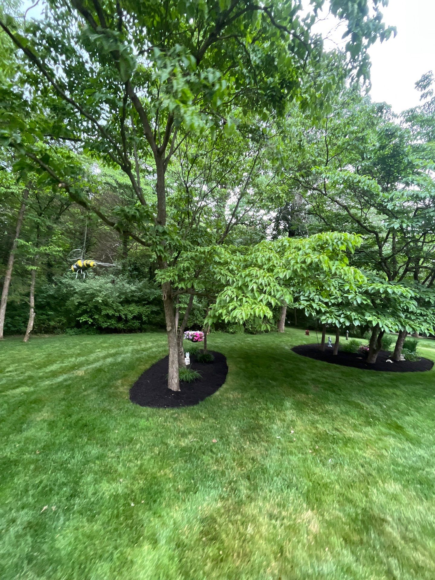 Comprehensive Shrub and Ornamental Bed Maintenance in Basking Ridge by Ants Plants