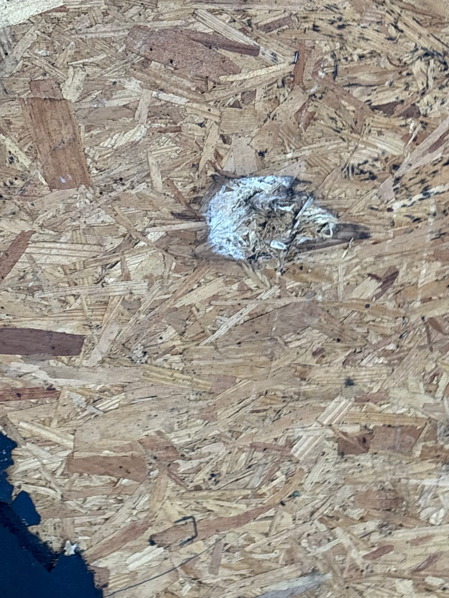 Roof Replacement Sugarland by Roof Repair Services LLC