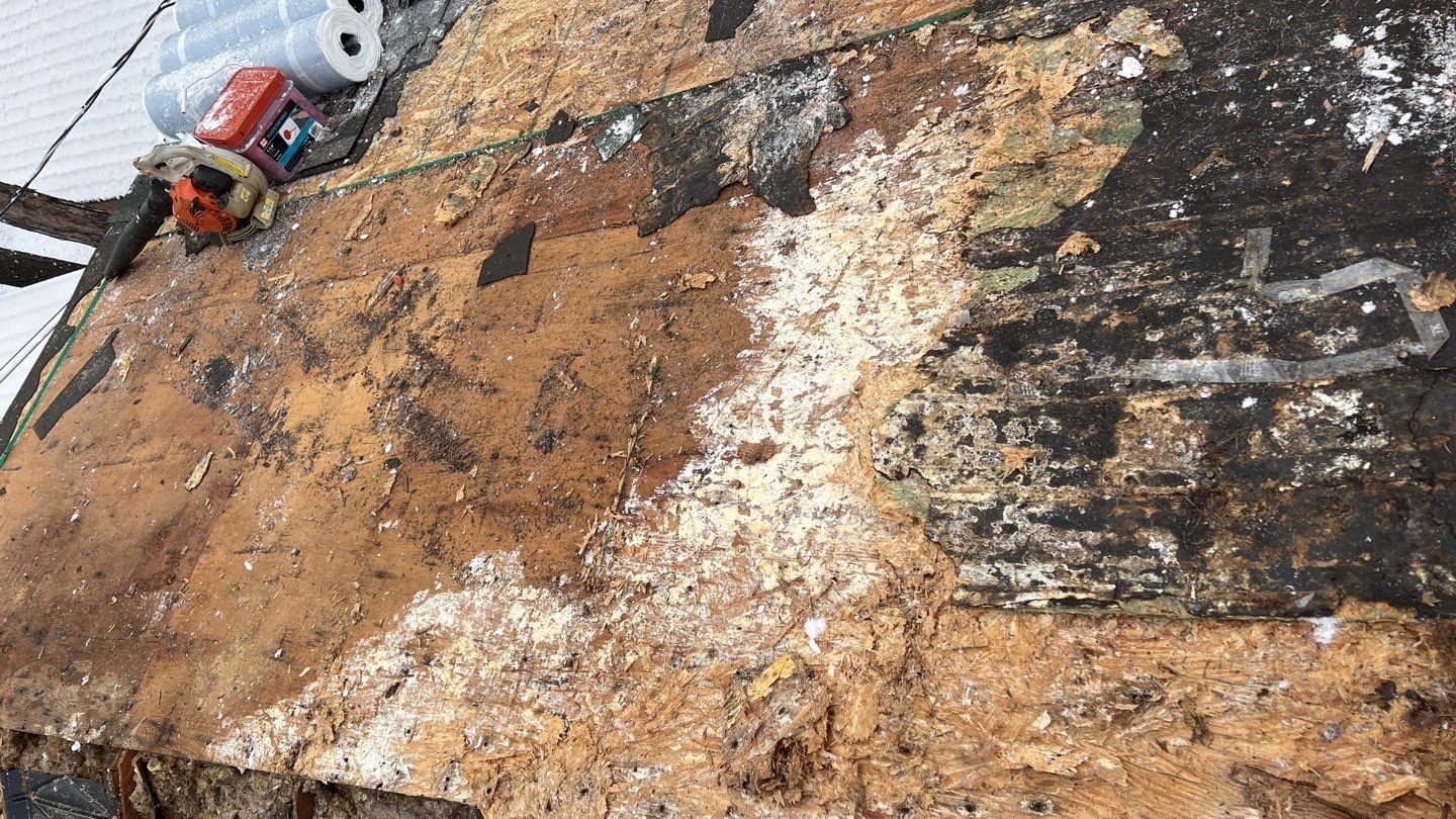 GAF Timberline HDZ - Hunter Green by Montana Roofing Solutions