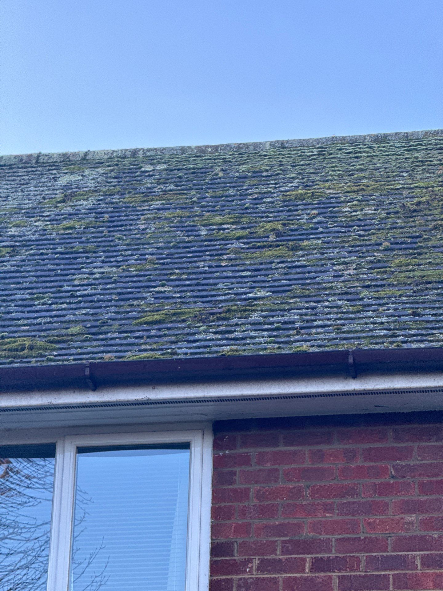 Roof Clean  - Moss Removal - Gutter Clean by Ges Exterior Cleaning ltd