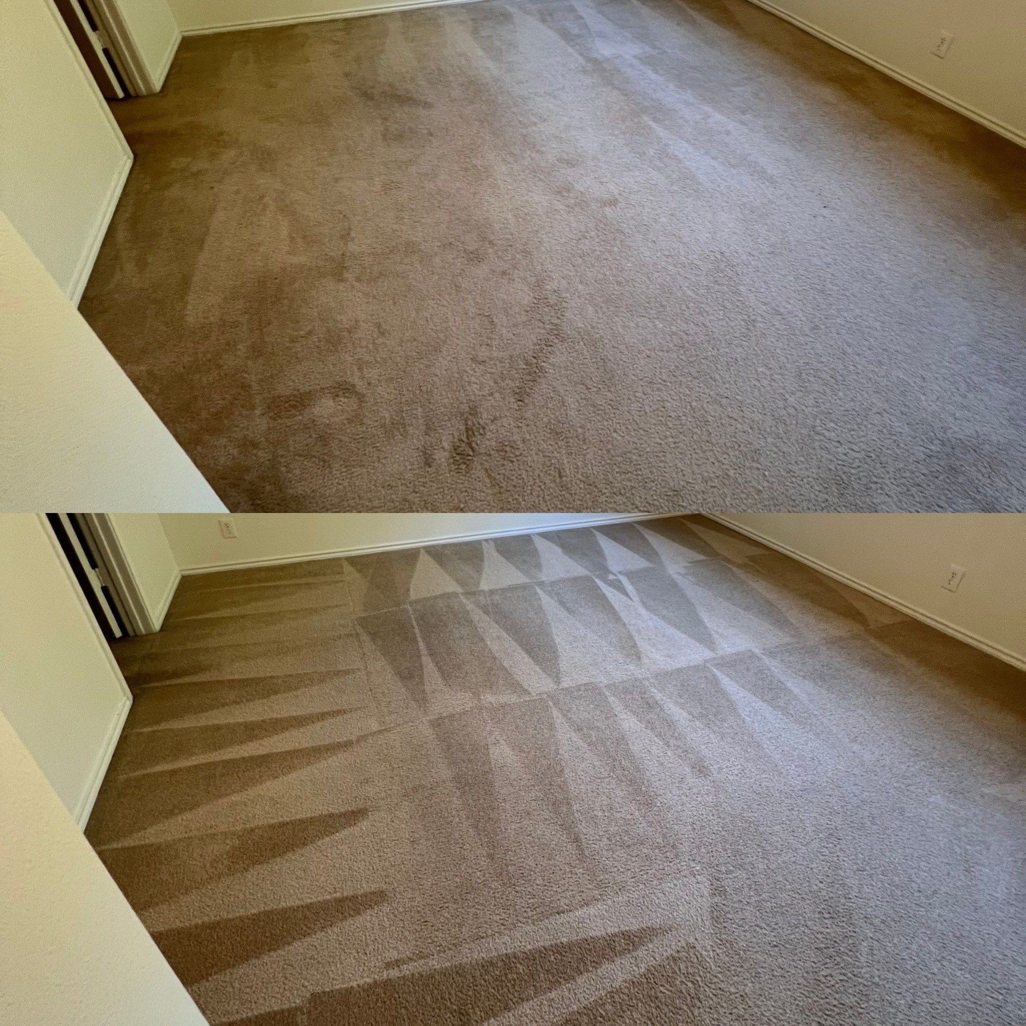 the service shown is professional carpet cleaning with visible before and after differences in the carpet's appearance and cleanliness