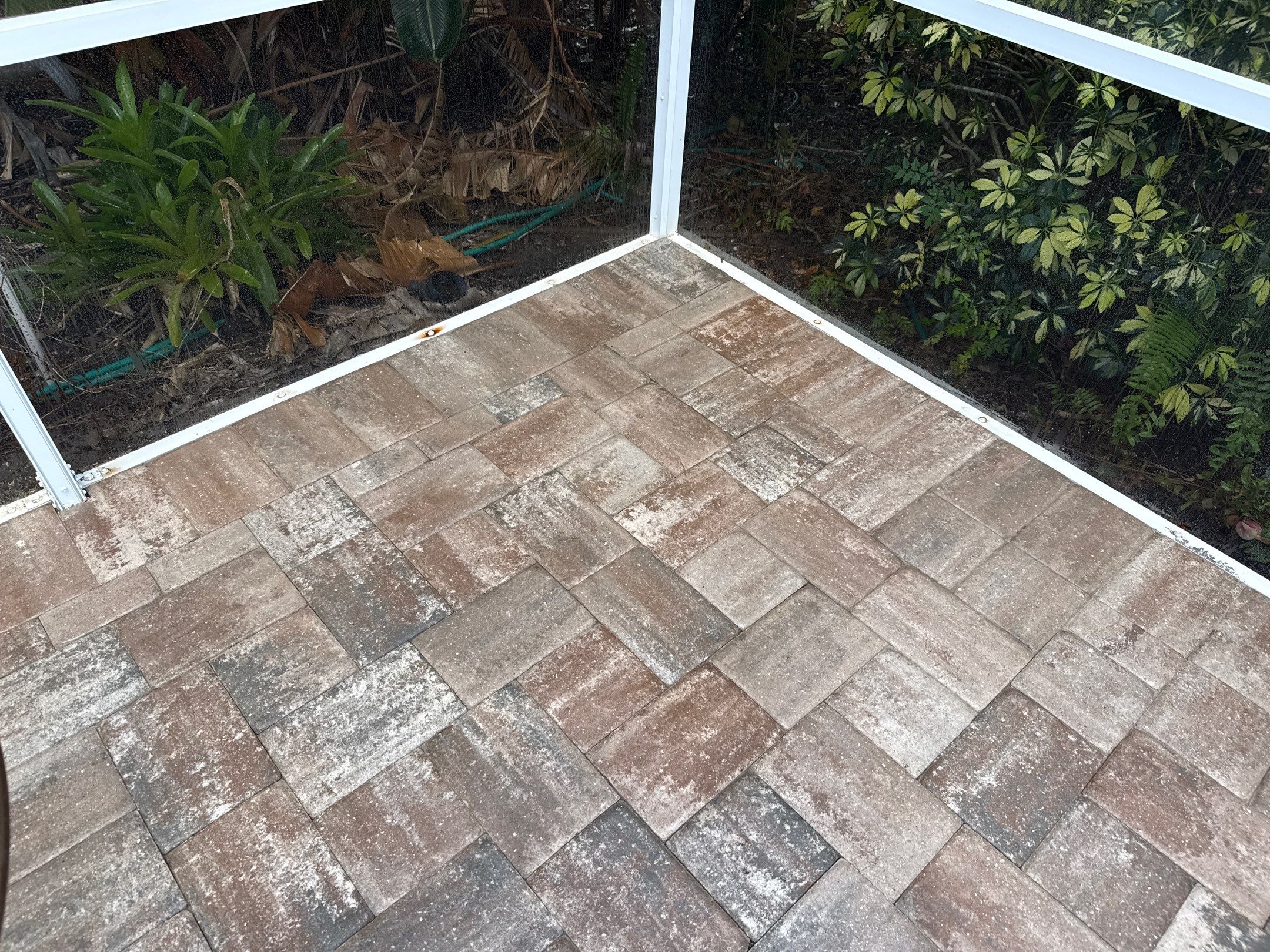 Paver Pool Deck & Screen Enclosure Transformation | University Park, Sarasota FL by Sunshine AquaWash