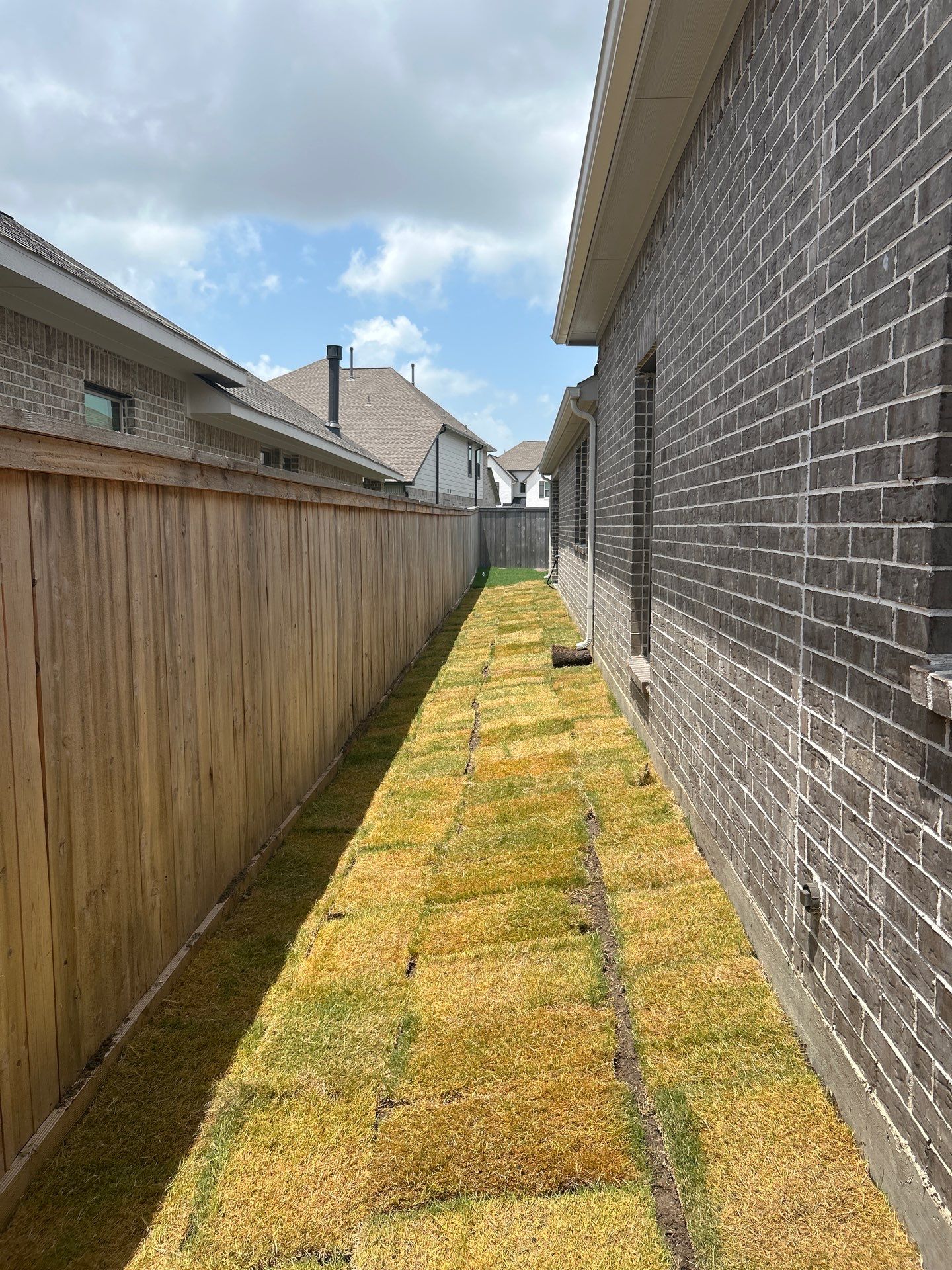 🌿 Mr. Rajaram’s Lawn Transformation by Texas Urban Elements