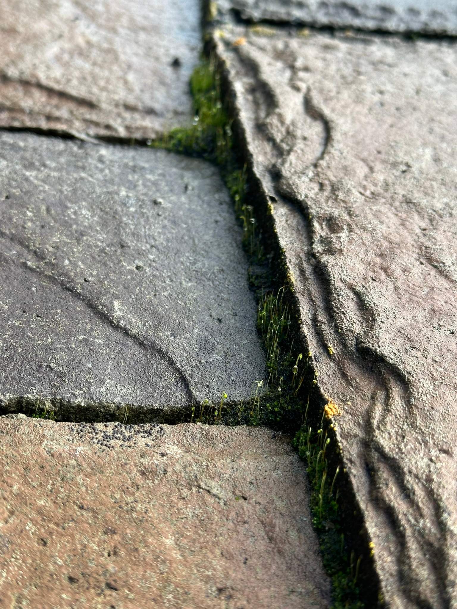 Orange County Gutter Cleaning in Wet Conditions by Property Cleaning Experts