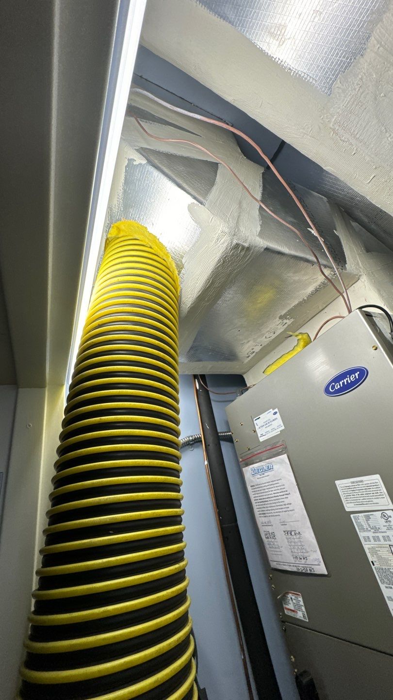 Commercial Air Duct Cleaning in Clermont by Hygienic Air, Inc