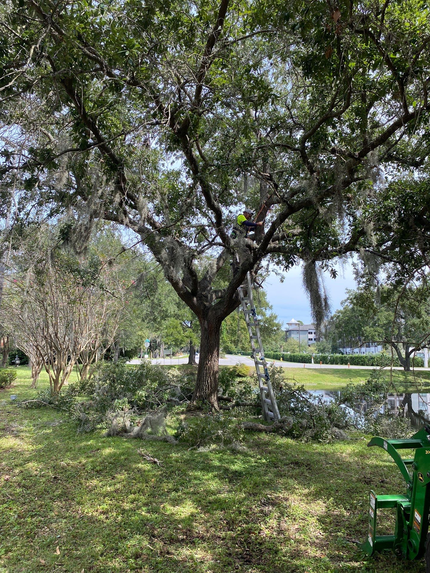 Tree & Shrub Removal | Marriott Hotel by ProGreen Services