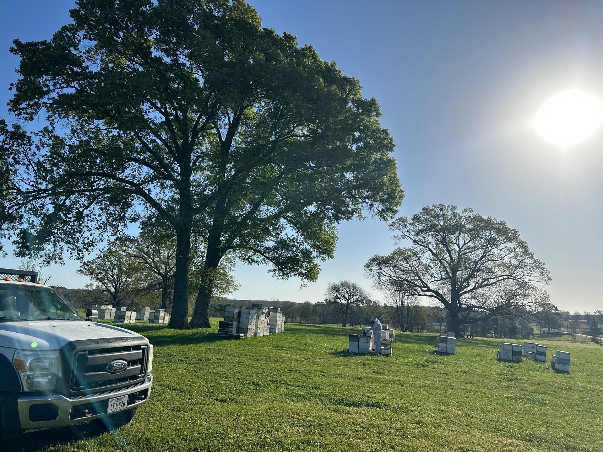 Peanut Farm Apiary by Rockwall Honey Bee Company