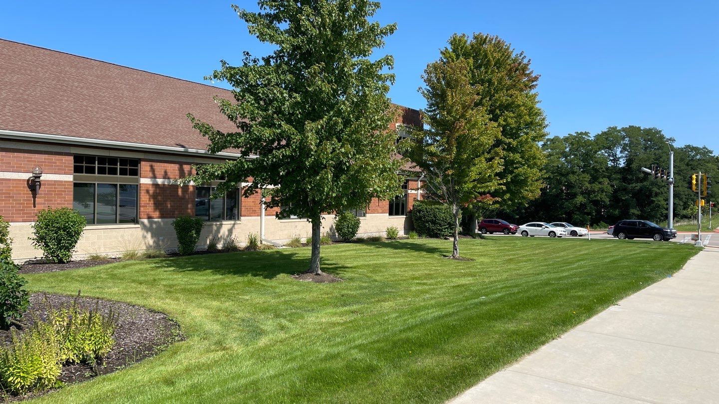 Megna Crew Showcase by Megna Painting